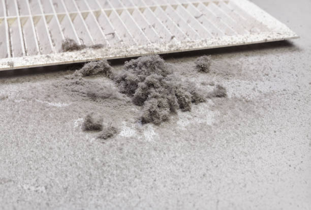 Best Ventilation Cleaning Services  in Silver Lakes, CA