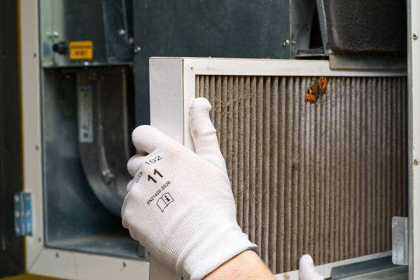 Best Professional Duct Cleaning Services  in Silver Lakes, CA