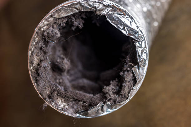 Best Local Air Duct Cleaning Services  in Silver Lakes, CA